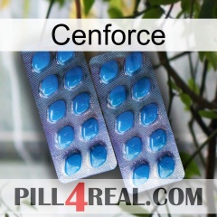 Cenforce viagra2